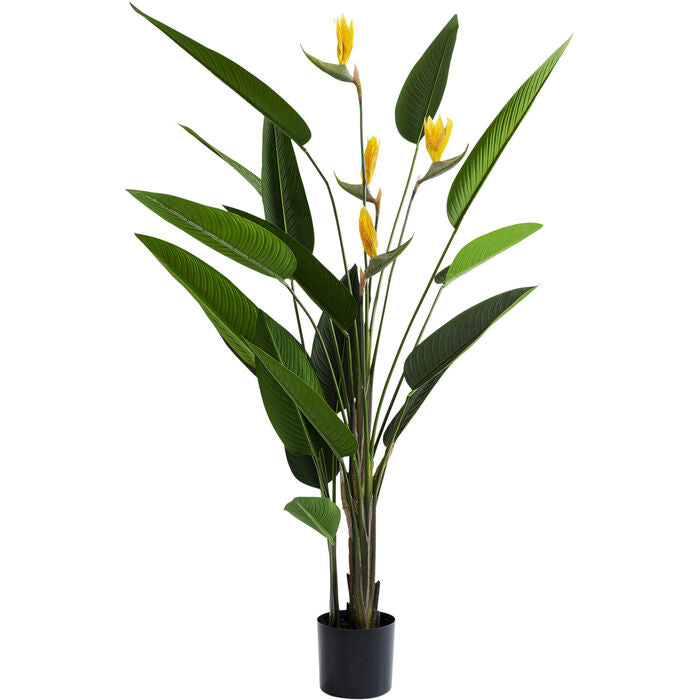 Künstliche Strelitzie 190 cm – große Design-Zimmerpflanze „Paradiesblume“