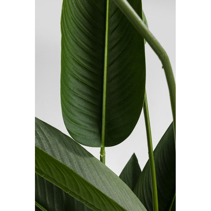 Künstliche Strelitzie 190 cm – große Design-Zimmerpflanze „Paradiesblume“
